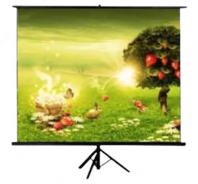 Экран проекционный TRM-NTSC-100D