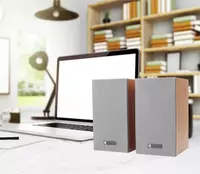 225 000 сум Компьютерная акустика Kisonli T011