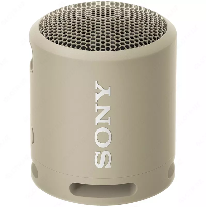 Portativ akustika SONY SRS-XB13