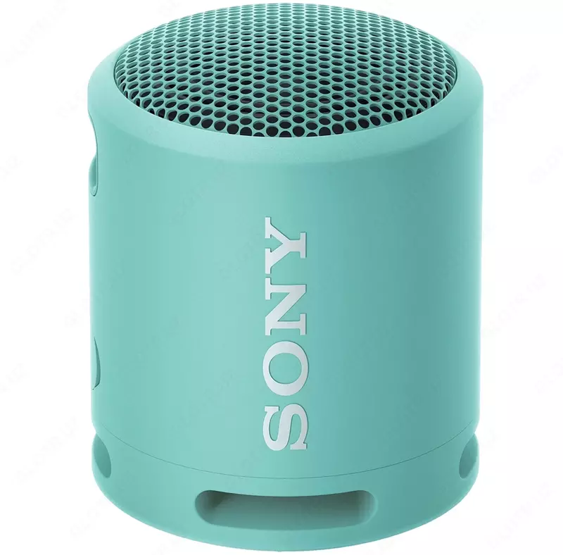 Portativ akustika SONY SRS-XB13