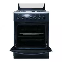 Газовая плита Roison RHWG 60AT VITO Только в розницу