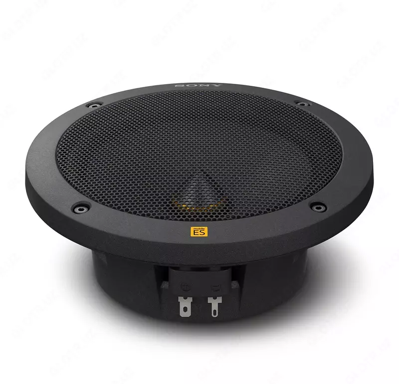 Avtomobil karnay SONY XS-163ES