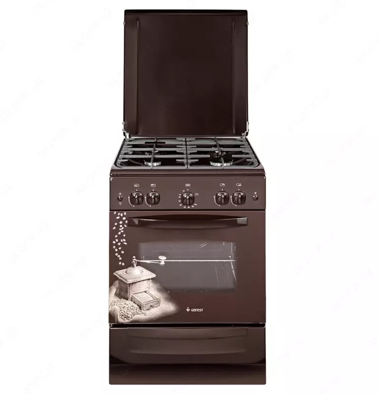 Gaz pechkasi GEFEST 6100-02 0391