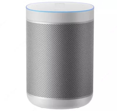 Aqlli karnay Xiaomi Mi Smart Speaker RU