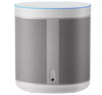 Aqlli karnay Xiaomi Mi Smart Speaker RU