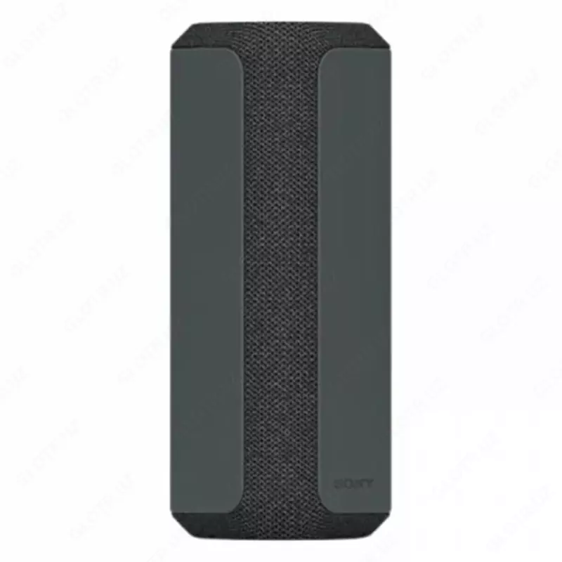 Portativ akustika SONY XS-XE300