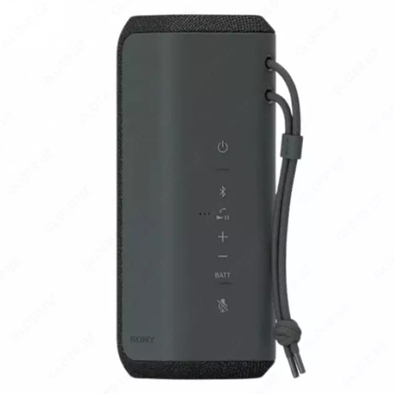 Portativ akustika SONY XS-XE300