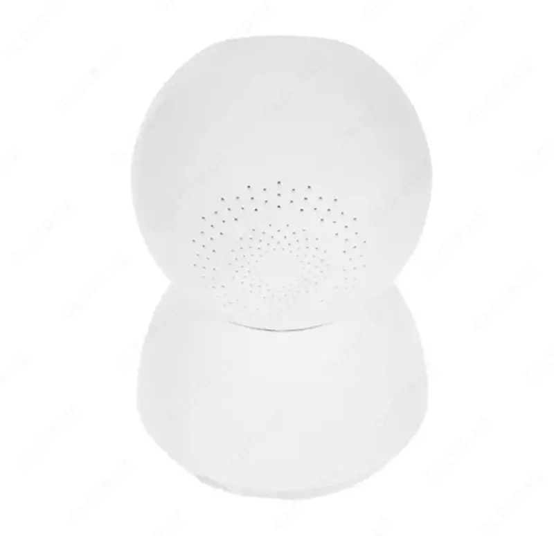 IP-kamera Xiaomi Smart Camera C300