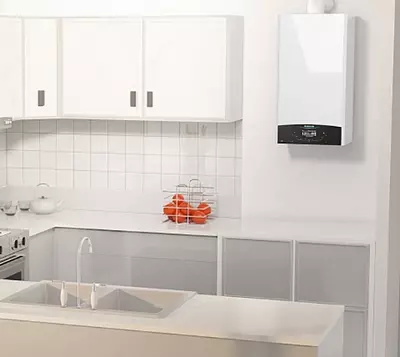 Газовый водонагреватель ARISTON Genus X 30 FF