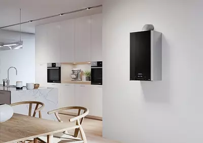Газовый водонагреватель ARISTON Alteas XC 24 FF