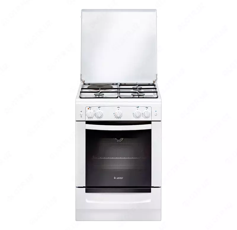 Kombinatsiyalangan plitasi GEFEST 6110-01 0300