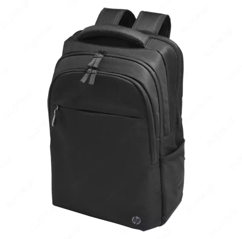 Рюкзак HP Professional 17.3-inch Backpack 500S6AA