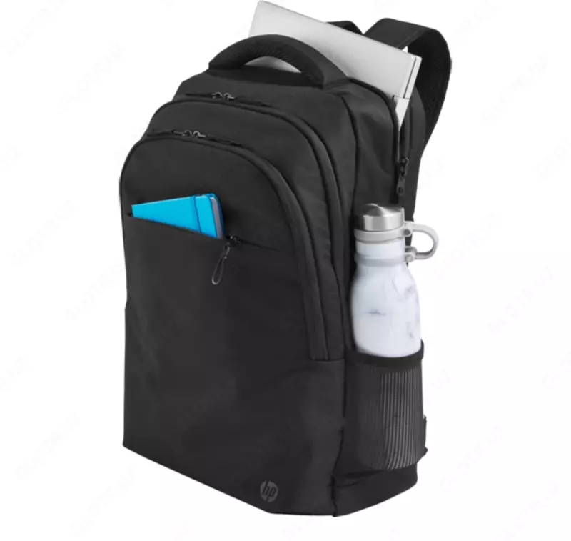 Рюкзак HP Professional 17.3-inch Backpack 500S6AA
