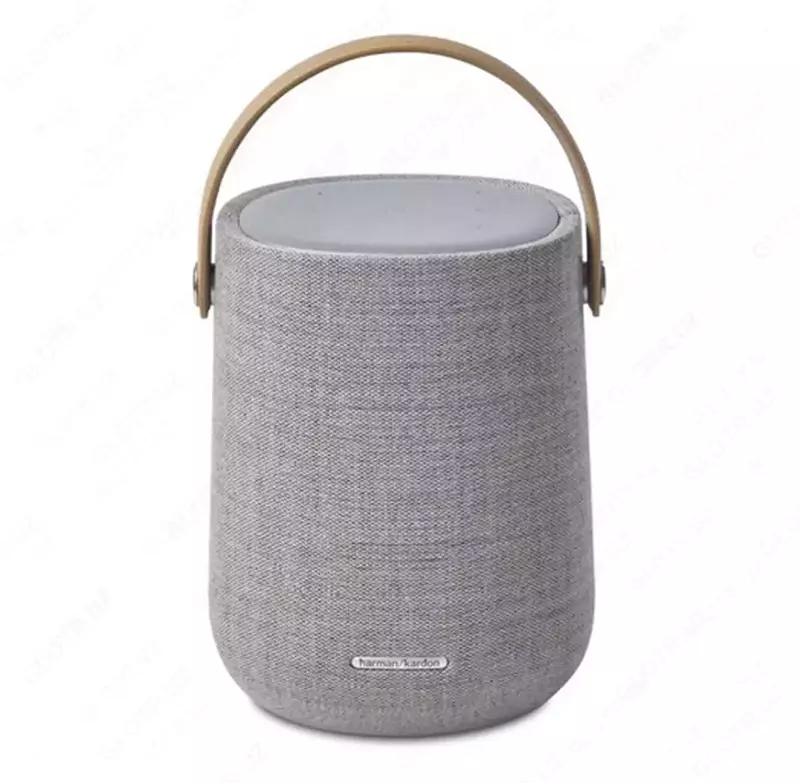 Умная колонка Harman/Kardon Citation 200 HKCITATION200GRYUK серый