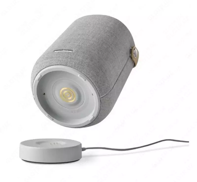 Умная колонка Harman/Kardon Citation 200 HKCITATION200GRYUK серый