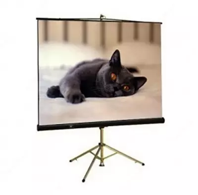 Экран на треноге Meki TRM-AV-96 245х245 см