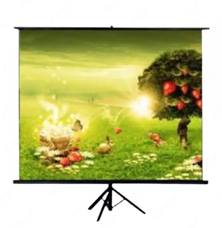 Экран на треноге Meki TRM-NTSC-120D 183x244 см