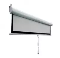 Экран моторизированный e-SURF SmNT-150 245x245 см - 2 212 500 сум