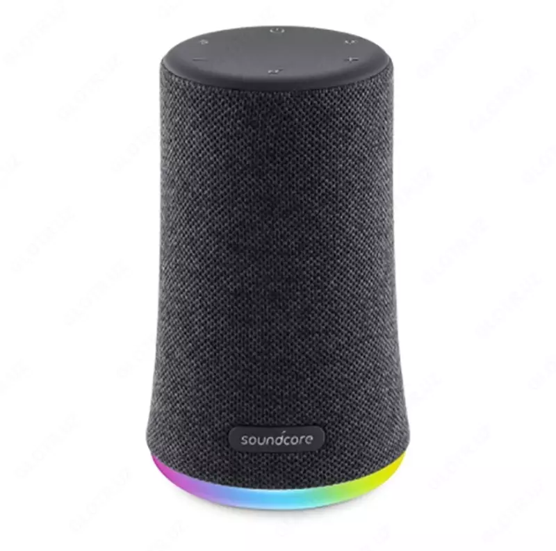 Портативная колонка ANKER Soundcore Flare Mini Black A3167012