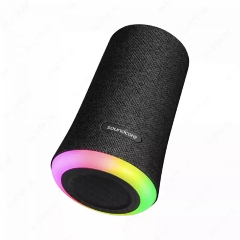 Portativ dinamik ANKER Soundcore Flare Mini Black A3167012