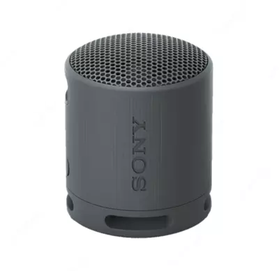 Portativ akustika SONY SRS-XB100