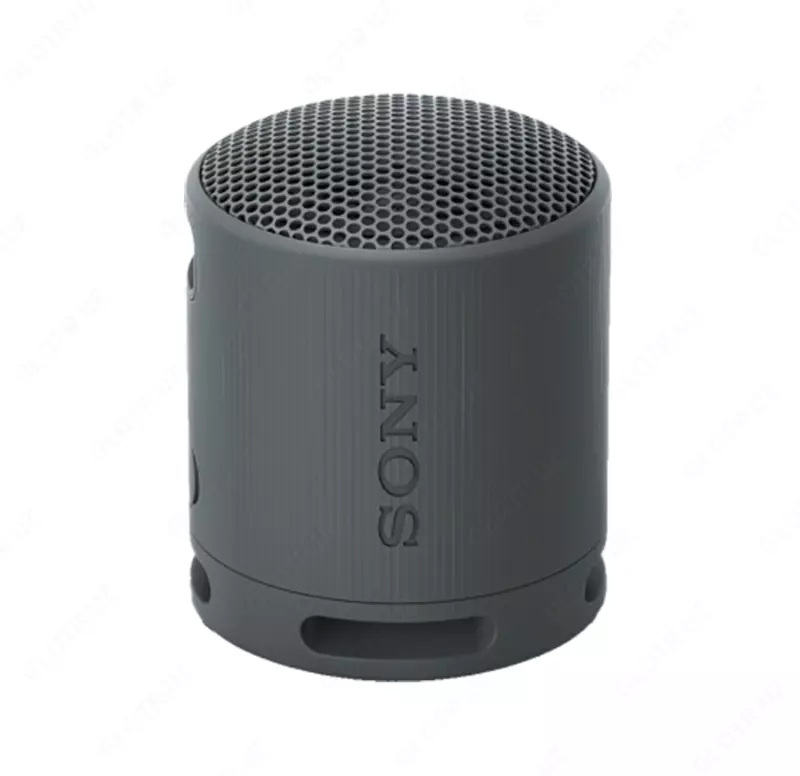 Portativ akustika SONY SRS-XB100