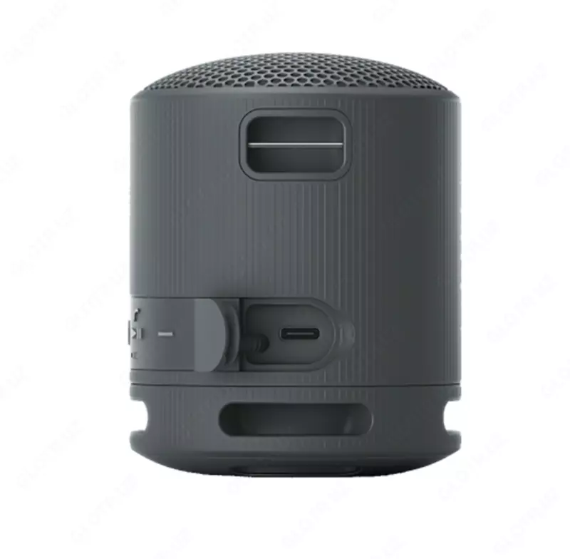 Portativ akustika SONY SRS-XB100