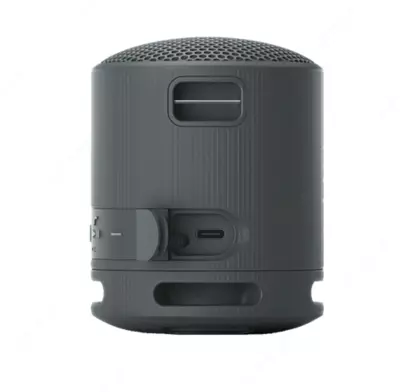 Portativ akustika SONY SRS-XB100