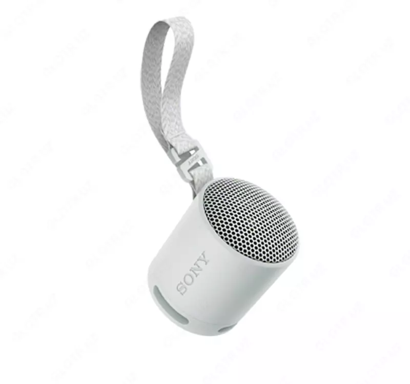 Portativ akustika SONY SRS-XB100