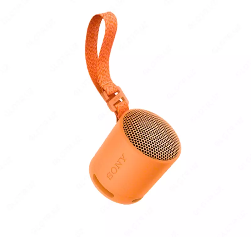 Portativ akustika SONY SRS-XB100