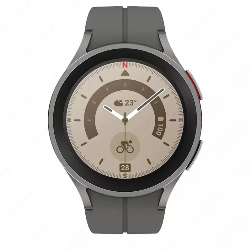 Smart soat SAMSUNG Galaxy Watch 5 Pro 45mm