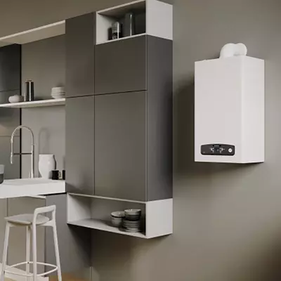 Газовый водонагреватель ARISTON Cares S 30