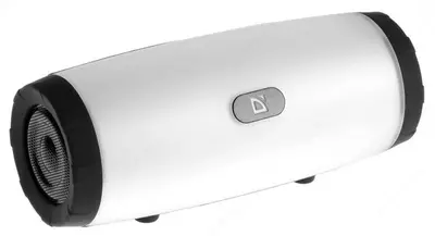 Портативная акустическая система Defender Enjoy S600