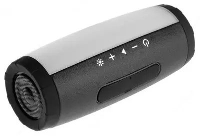 Портативная акустическая система Defender Enjoy S600