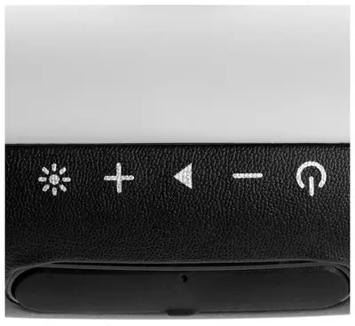 Портативная акустическая система Defender Enjoy S600