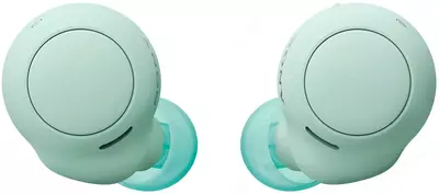 Mini garnituralar Sony WF-C500