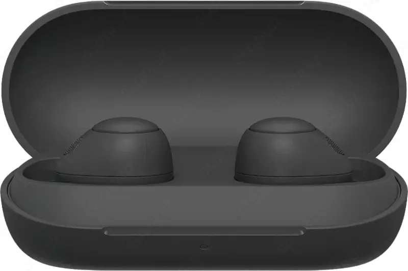 Наушники Sony WF-C700N