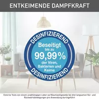 Bug ' beruvchi TEFAL DT7130E0 Chakana savdo