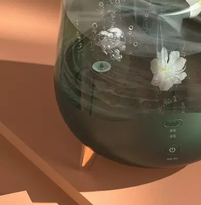 Увлажнитель Deerma Air Humidifier 5L DEM-F329 Green