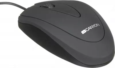 Sichqoncha simli Canyon CNE-CMS1