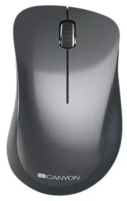 Мышь беспроводная Canyon CNE-CMSW11BL