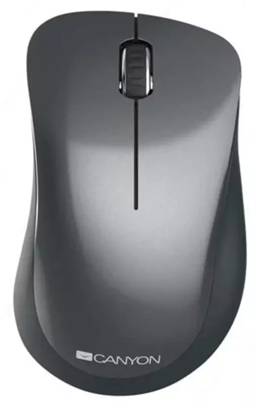 Мышь беспроводная Canyon CNE-CMSW11BL