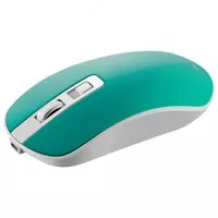 Мышь беспроводная Canyon CNS-CMSW18PW EU