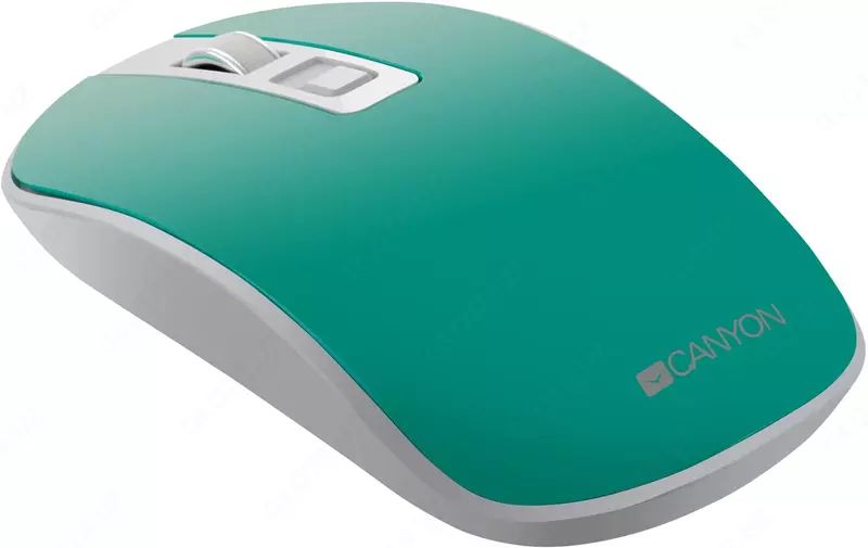 Мышь беспроводная Canyon CNS-CMSW18PW EU