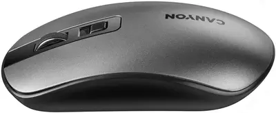 Sichqoncha simsiz Canyon CNS-CMSW18PW EU