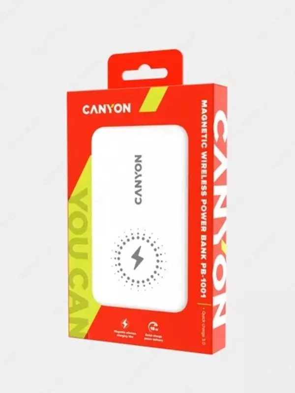 Внешний аккумулятор CNS-CPB1001 WHITE