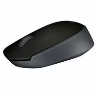 Logitech M171 sichqonchasi - 262 500 so'm