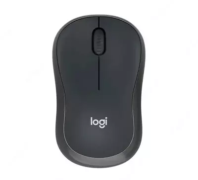 Logitech M240 Silent Bluetooth Mouse - GRAPHIT