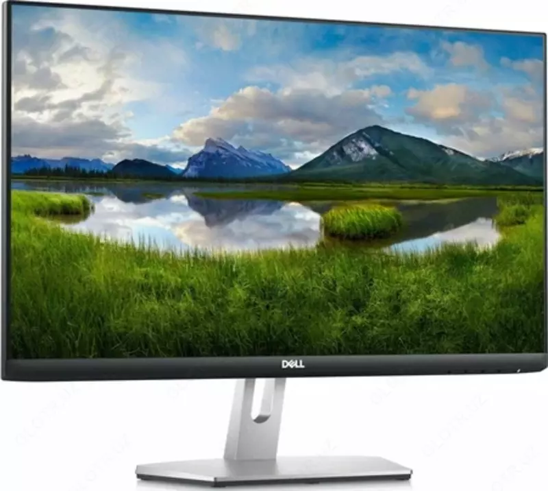 Monitor DELL SE2421HN