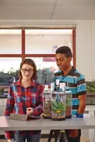 по запросу Современный кабинет начальных классов: пространство для развития и открытий